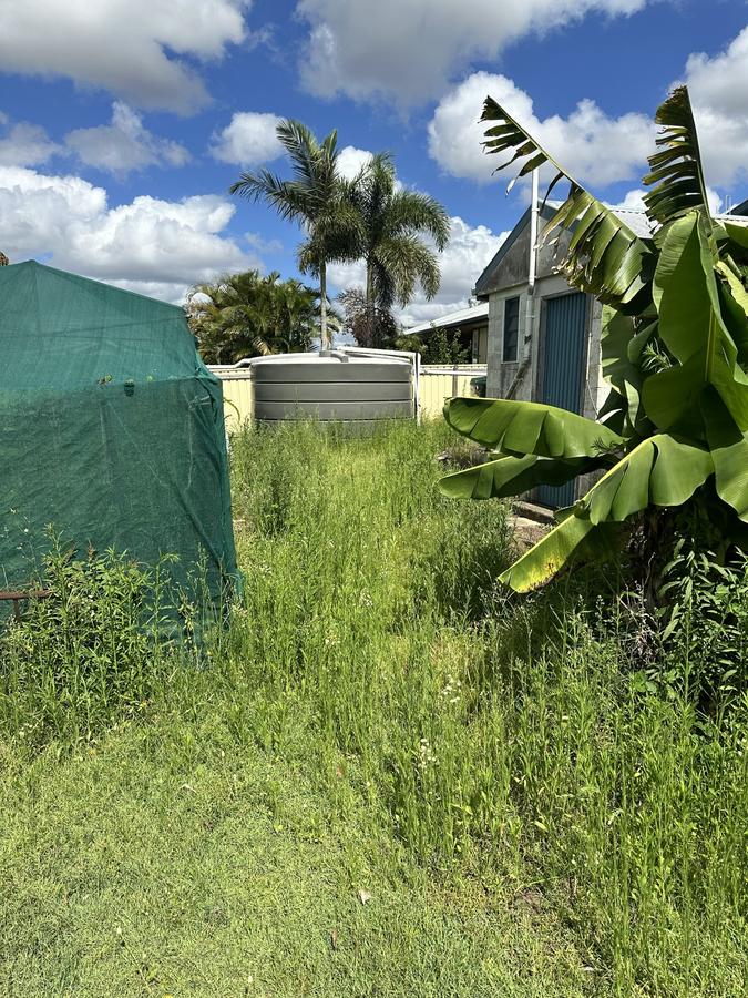 Before - Garden Clean Up Bundaberg