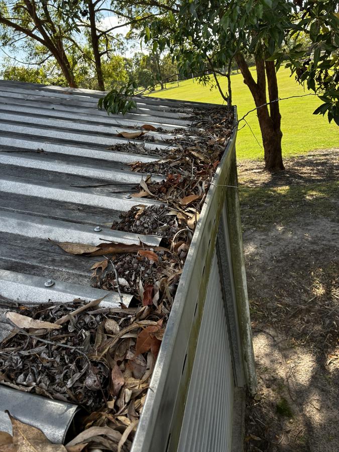 Before - Roof Gutter Debris Removal Bundaberg