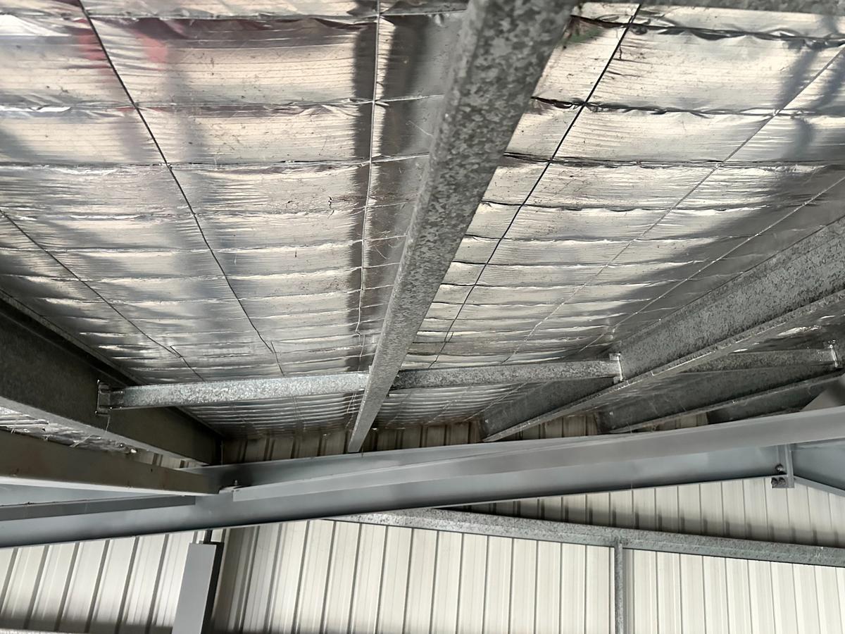 After - Industrial Purlins Spider Web Removal